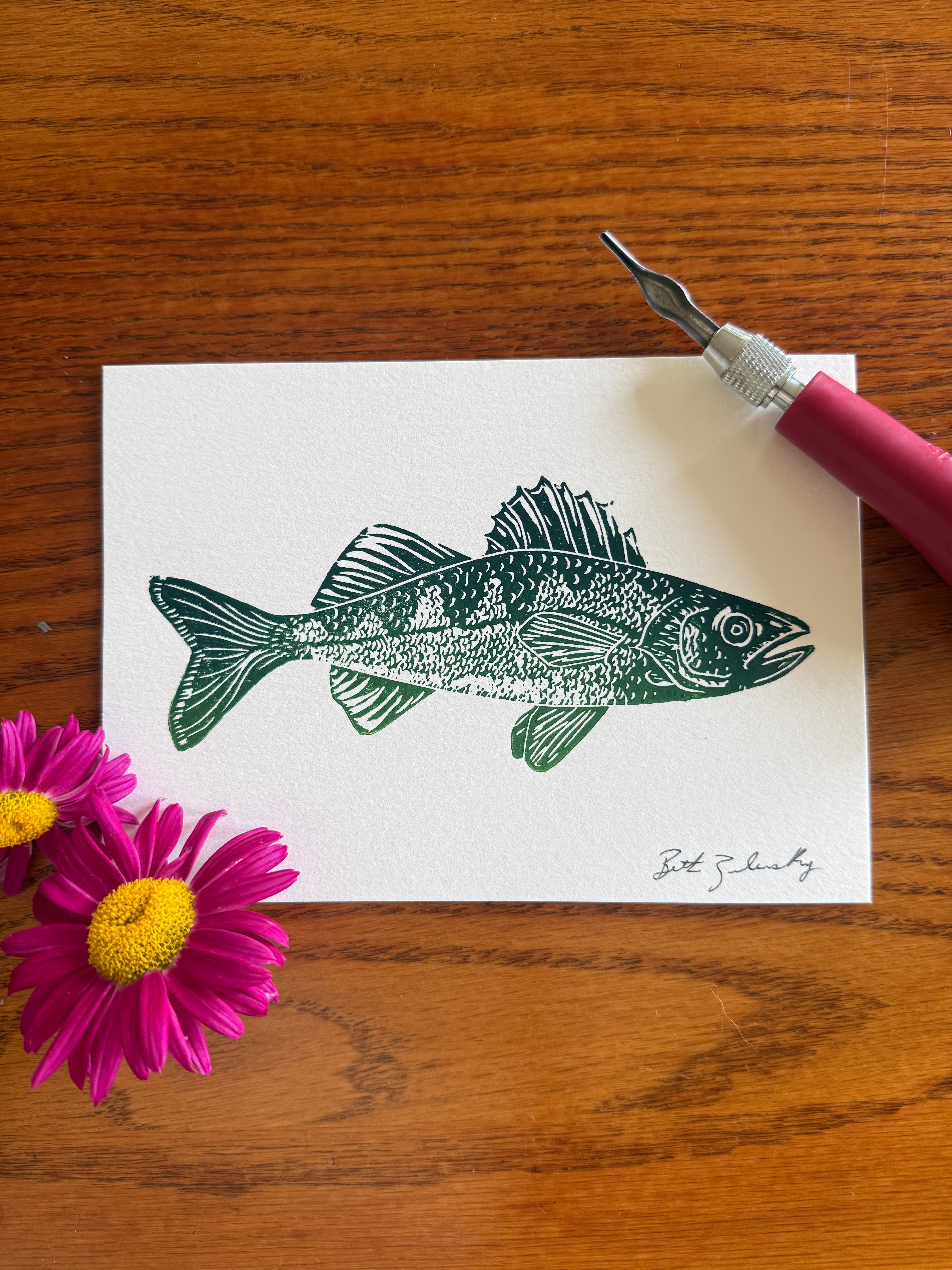 Walleye